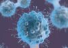 China: Hygeia Healthcare agrees to acquire Etern Group for Rmb1.73bn backed by loan