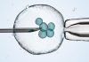 UAE: Fakih IVF partners with Emirates Specialty Hospital Fertility experts urge IVF clinics to share success rates
