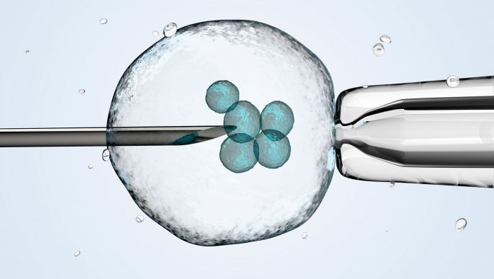 Fertility experts urge IVF clinics to share success rates