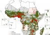 Kenya: Launch of comprehensive public health facility inventory