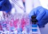 Egypt: Speed Medical adds three facilities to portfolio