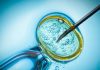 Care Fertility expands internationally with new partnership deals