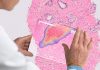 Global: Early-stage healthcare funding focused on AI