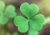 Ireland: US-based Transact expands reach into Ireland with acquisition of Cal Opex (NEXA)