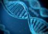Luxembourg: Eurofins to acquire DNA Diagnostics Center