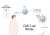 China: CARSgen Therapeutics prices HK IPO at top of range to raise HK$3.1bn