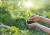 Australia: QBiotics raises A$85m from offer of shares