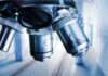 The Netherlands: BGV makes two new appointments to team