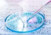 Belgium: ArchiMed takes majority stake in Xpress Biologics and adds to Board