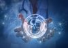 InFocus: Mansfield Advisors looks at the prospects for fertility around the world