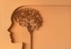Denmark: Bertil Jessen joins Brain+ as CFO