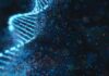 UK: Colston appointed CEO at CS Genetics