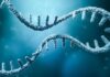 Spain: SpliceBio closes US$135m Series B financing round