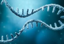Spain: SpliceBio closes US$135m Series B financing round