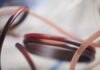 Hong Kong: Global Cord Blood Corp enters cell therapy market via Cellenkos acquisition