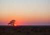 InSight: Discovery shares the ‘shared value’ model through Africa