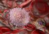 US: AstraZeneca to acquire TeneoTwo for US$1.27bn
