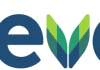 Israel: Francis to take up CEO role at Teva in January