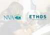 US: NVA to split into two groups with plans to IPO