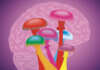 Kilburn & Strode investigates the role of patents in psychedelics