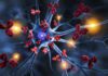 Sweden: Ballantyne appointed as CFO at Hansa Biopharma