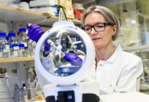 Sweden: Flerie Invest triggers mandatory bid offer for Lipum