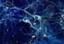 US: Forbion co-leads oversubscribed US$157m Series B in Engrail Therapeutics