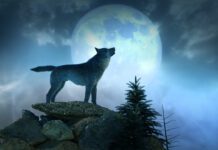 Sweden: Blue Wolf Capital to acquire OSD CDMO Sites from Recipharm