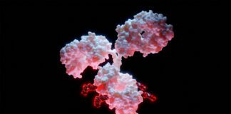 Spain: Ona Therapeutics raises US$86.6m Series B to advance First-in-Class ADCs into clinical development