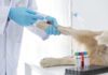 France: Mars to acquire veterinary diagnostics businesses from Cerba HealthCare
