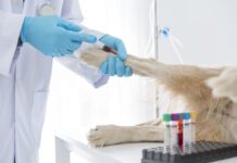 France: Mars to acquire veterinary diagnostics businesses from Cerba HealthCare