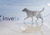 UK: Dechra agrees to acquire US-based Invetx for US$520m