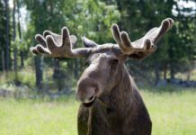 Sweden: Labquality continues push into Sweden with acquisition of Scandinavian CRO