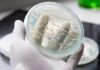 UK: F2G announces US$100m financing to advance late-stage development and commercialization of Olorofim in the US