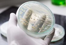 UK: F2G announces US$100m financing to advance late-stage development and commercialization of Olorofim in the US