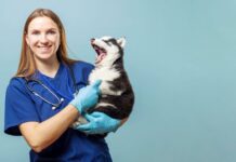 UK: Patterson expands animal health portfolio in UK and US