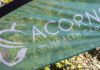 UK: Ignite Growth acquires Acorns Healthcare