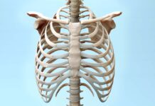 Germany: Nord Holding acquires majority stake in MedXpert