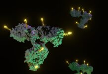 Switzerland: Taiho Pharma paying up to US$1.14bn for ADC developer Araris Biotech