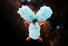 Germany: Tubulis raises €308m Series C to expand clinical development of lead ADC candidate
