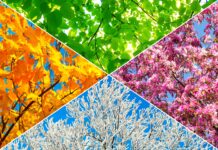 UK: Omega Healthcare Investors revealed as acquirer of Four Seasons’ remaining care homes
