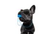 Austria: Tractive strengthens US pawprint with acquisition of Whistle from Mars