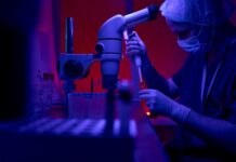 Spain: Apheon partners with Longwood for future growth