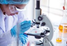 The Netherlands: AVS Bio expands antibody discovery and protein production capabilities with acquisition of IPE European carve-out