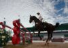 Belgium: Gimv joins forces with CNP to accelerate the global expansion of Equine Care Group