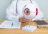 Italy: AAVantgarde Bio closes US$141m Series B to accelerate gene therapies for Stargardt disease and Usher 1B syndrome