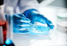Luxembourg: Astorg to acquire Thermo Fisher Scientific’s microbiology business for US$1.075bn