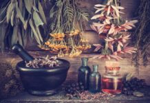 Germany: Carbyne Equity Partners’ portfolio company SuanNutra agrees acquisition of IFF’s Natural Solutions Business